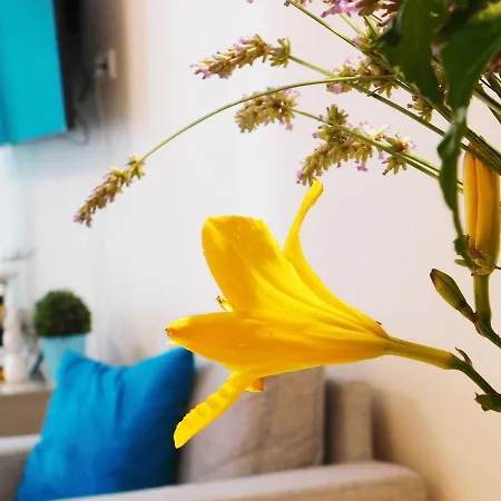 Wonder Deer Luxury At The Opera Self Check-in Apartment Budapest
